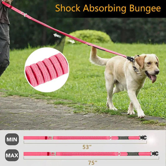Frog Clip Leash Product vendor