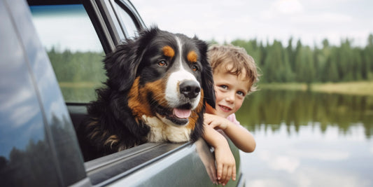 The-K9-Kingdom-Big-Dog-Blog K9 Kingdom