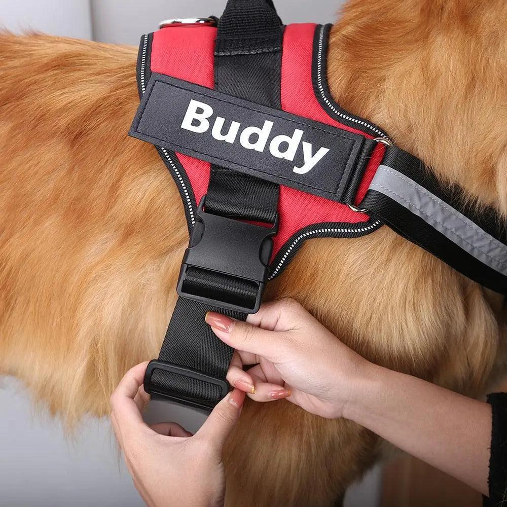 Adjustable Secure Harness Product vendor 