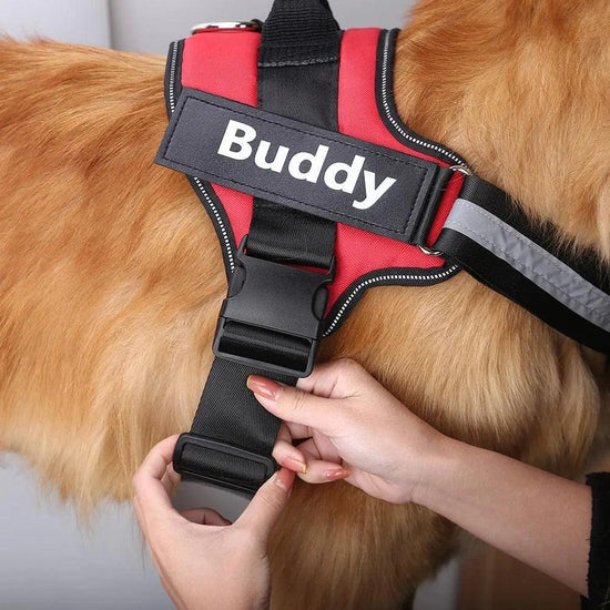 Adjustable Secure Harness Product vendor 