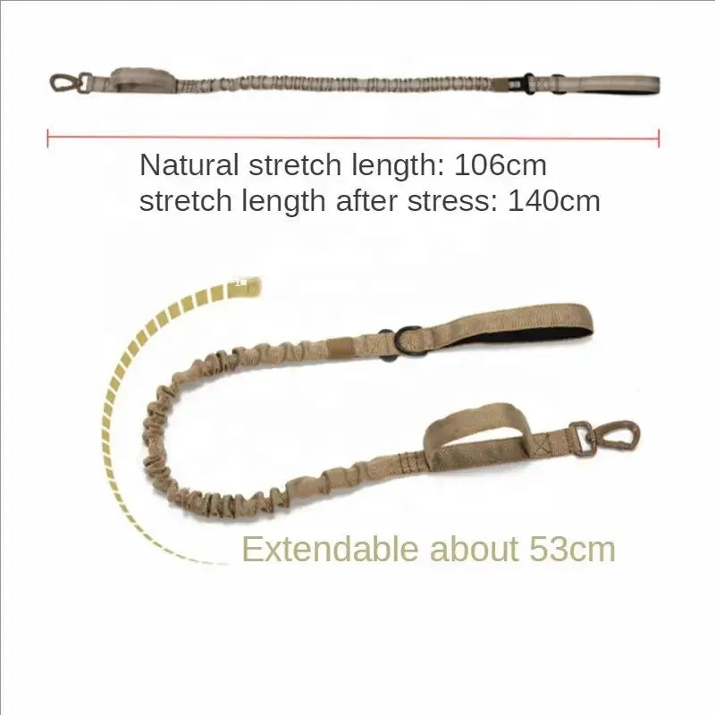 Carabiner Dog Leash Product vendor 