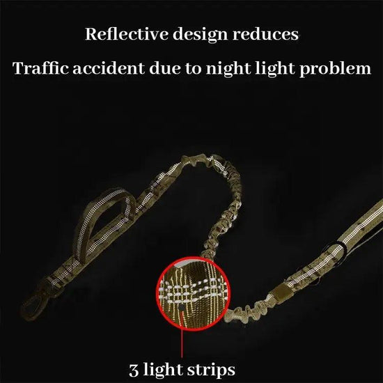 Carabiner Leash Product vendor 