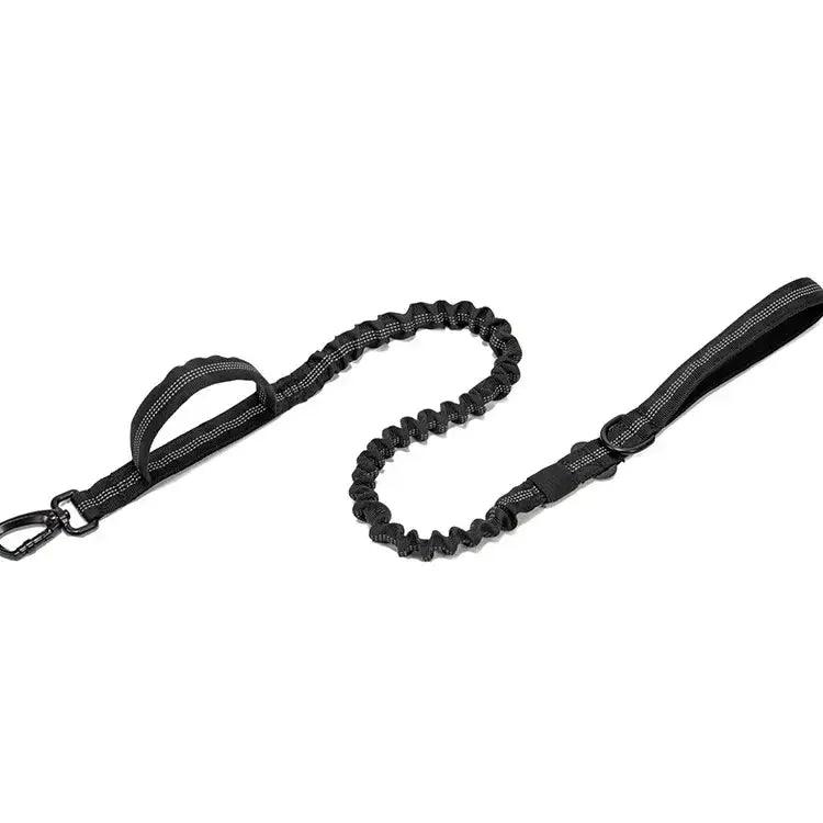 Carabiner Leash Product vendor 