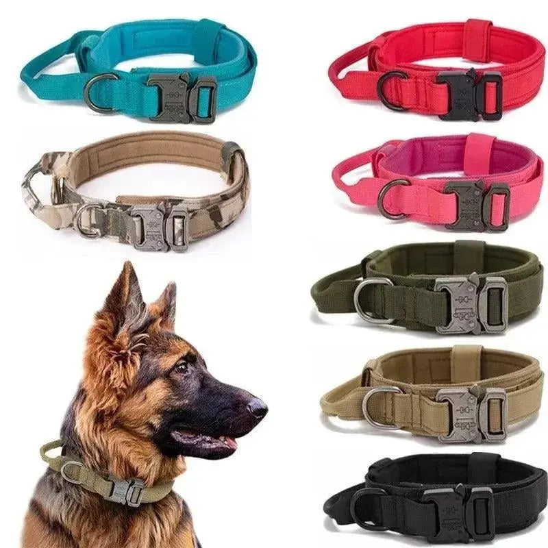 Collar and Leash Set Product vendor 