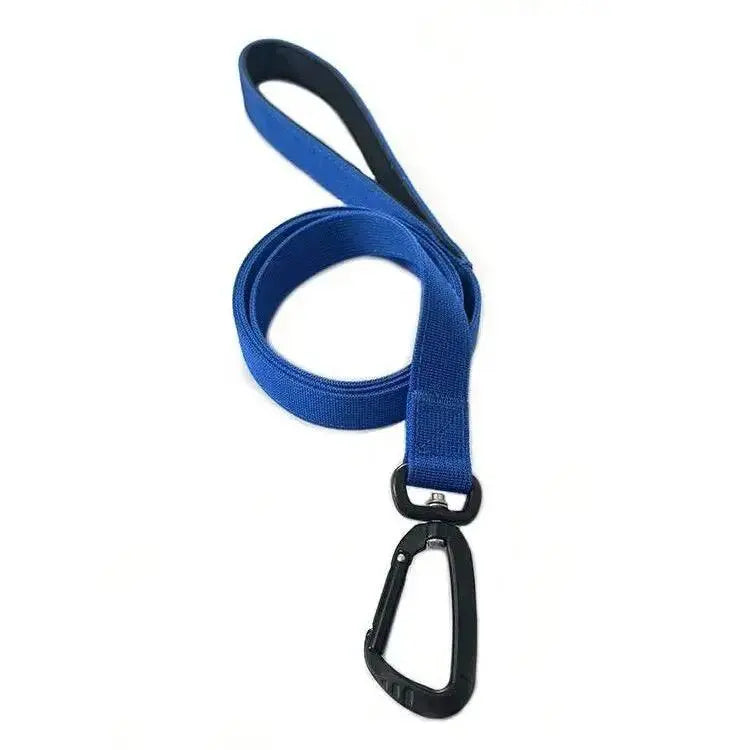 Carabiner Leash Product vendor 