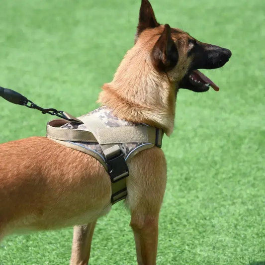 Comfort Adjustable Harness Product vendor 