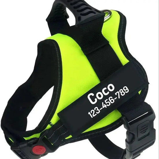Adjustable Secure Harness Product vendor 