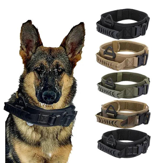 Heavy Duty Collar Product vendor 