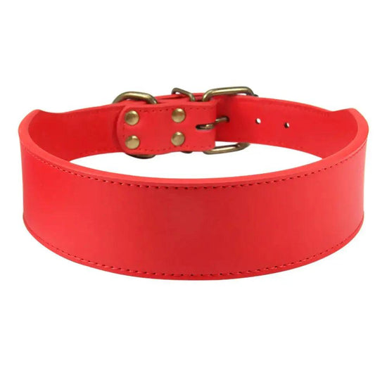 Luxury Leather Collar Product vendor 