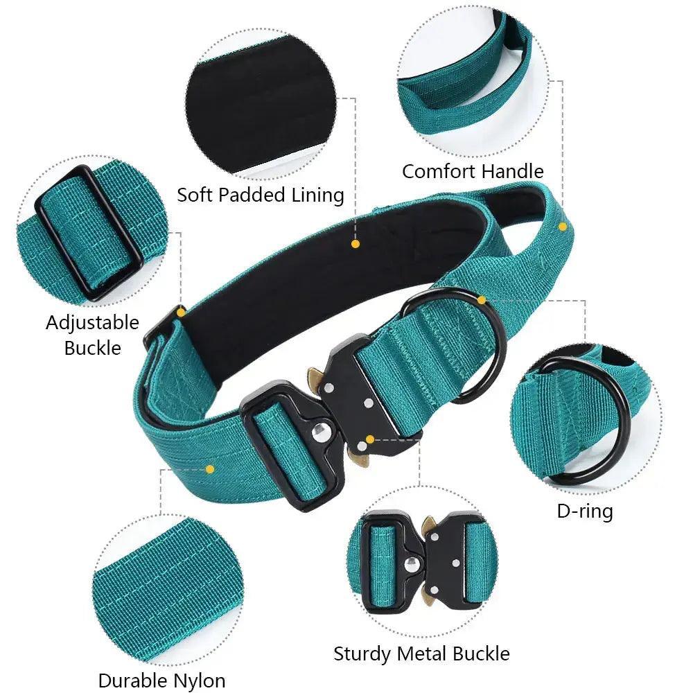 Wide Metal Buckle Collar Product vendor 