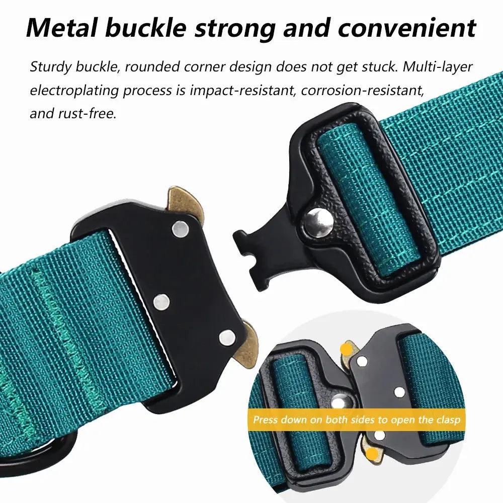 Metal Buckle Collar Product vendor 