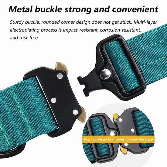 Metal Buckle Collar Product vendor 