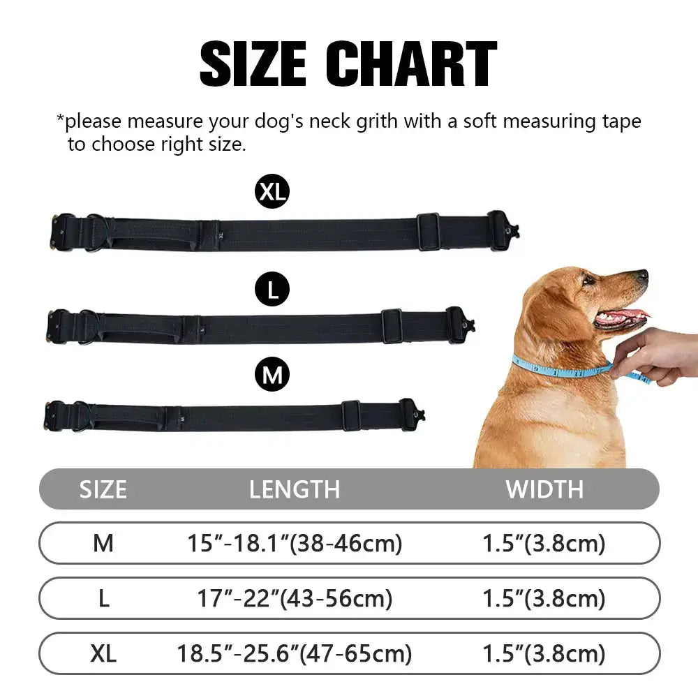 Wide Metal Buckle Collar Product vendor 