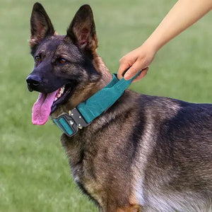 Metal Buckle Collar Product vendor 
