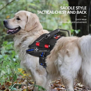 Stripe Style Harness Product vendor 