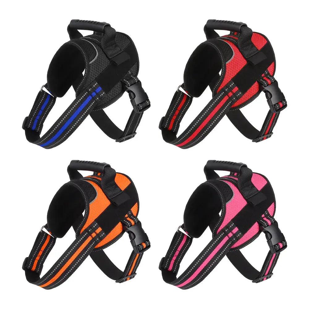 Stripe Style Harness Product vendor 