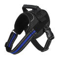  black with blue stripe