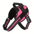  pink and black