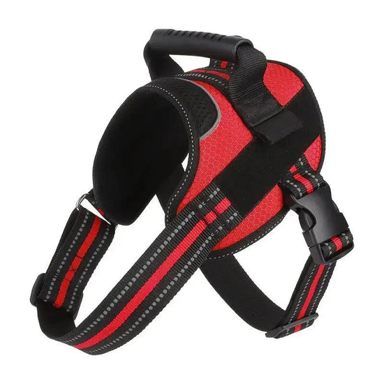 Stripe Style Harness Product vendor 