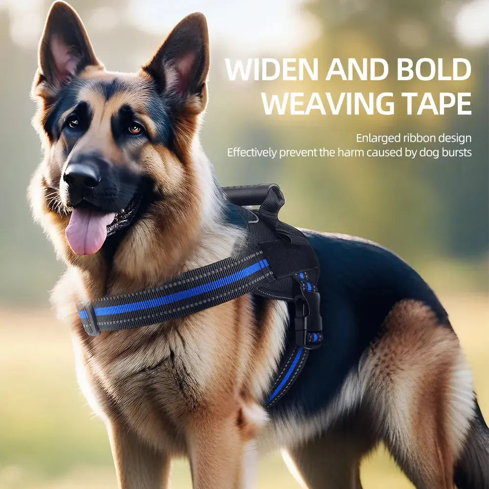 Stripe Style Harness Product vendor 
