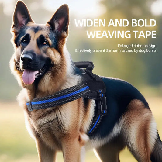 Stripe Style Harness Product vendor 