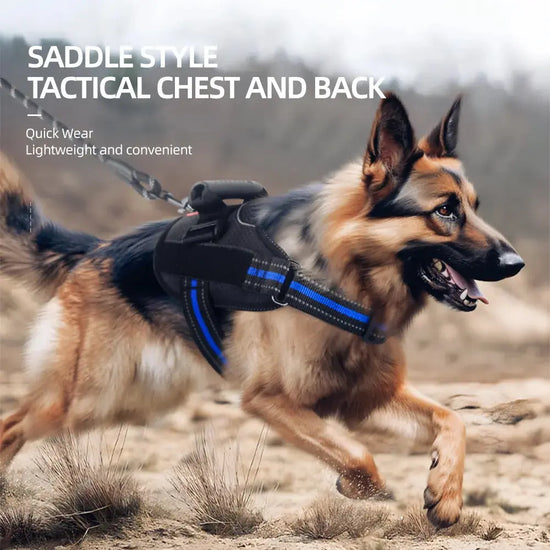 Stripe Style Harness Product vendor 