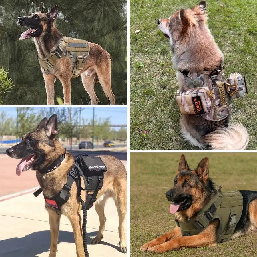 Tactical Dog Harness -  K9 Kingdom
