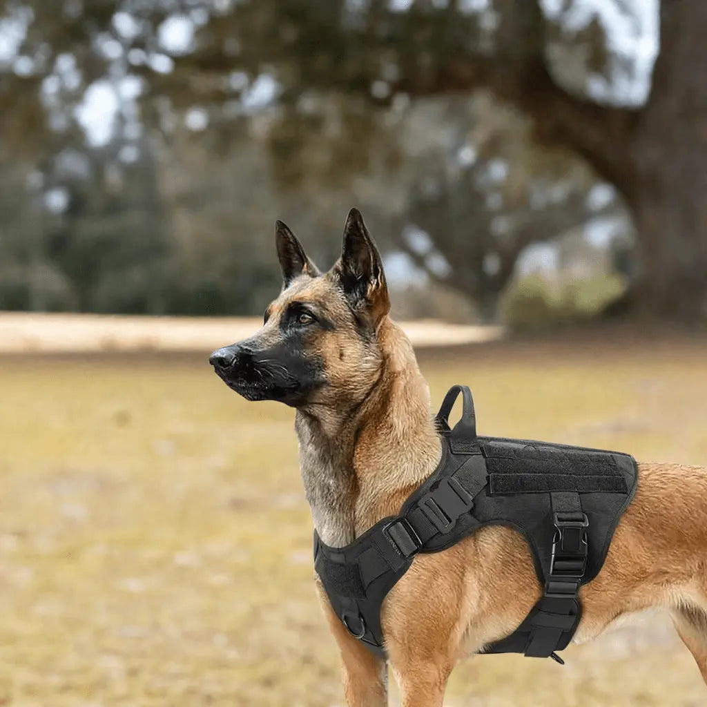 Tactical Dog Harness - K9 Kingdom 
