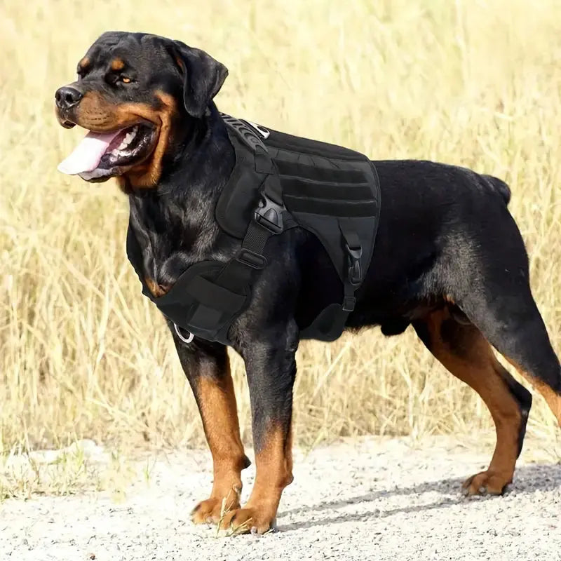 Tactical Dog Harness Product vendor 