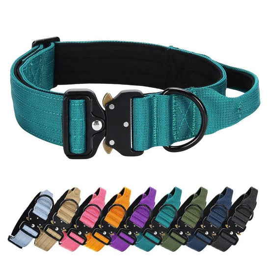 Wide Metal Buckle Collar Product vendor 