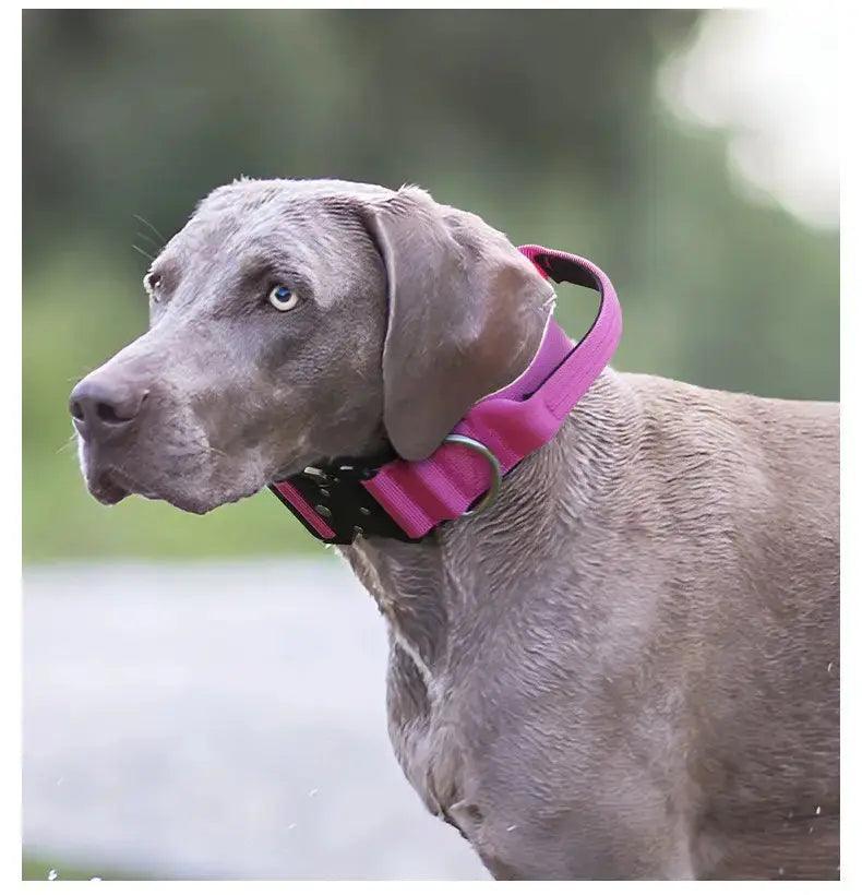 Wide Metal Buckle Collar Product vendor 